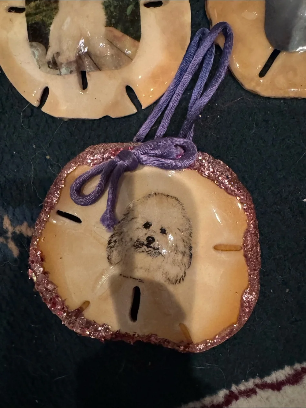 Handmade Beige real  Sand Dollar Pet Photo Ornament -all of them